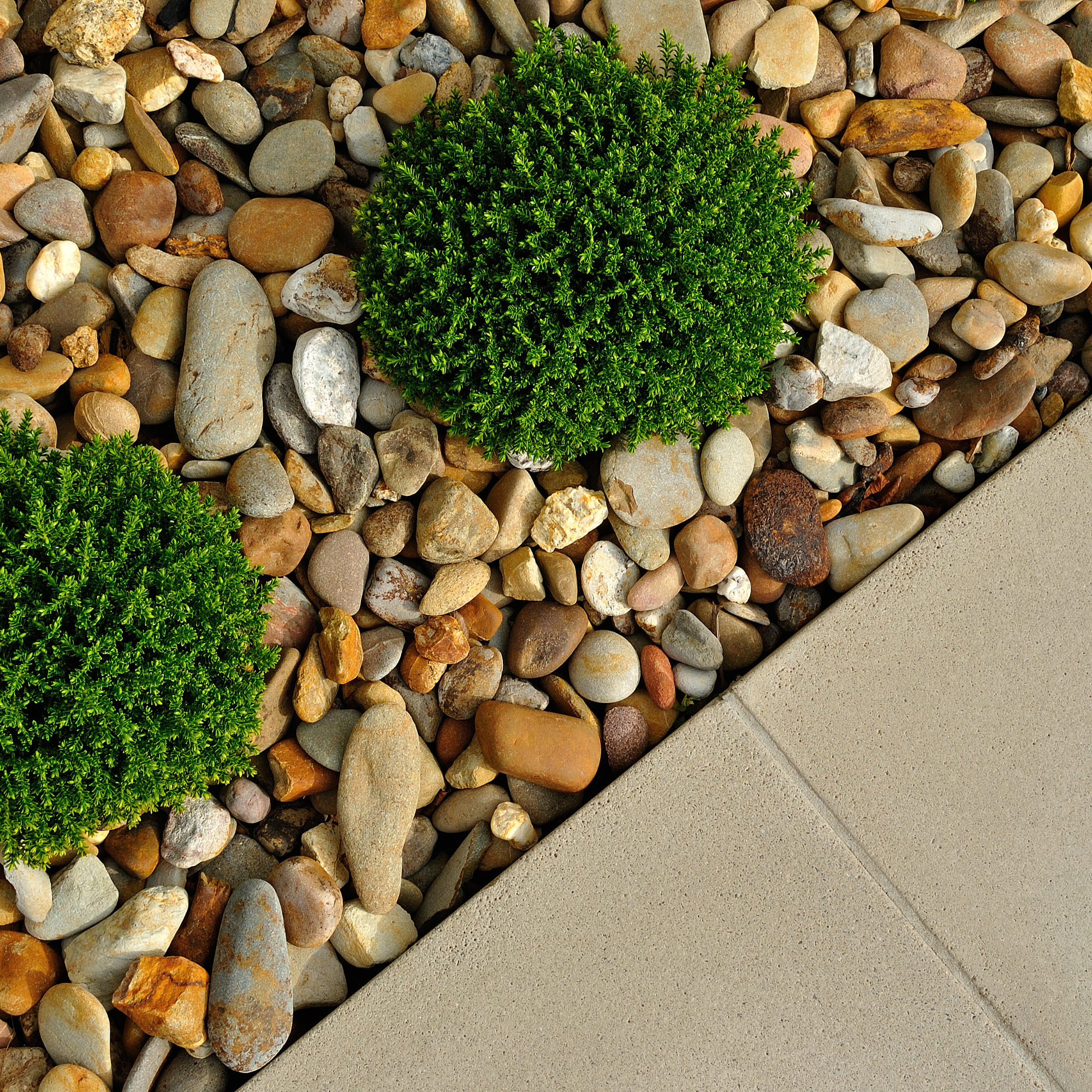 #seooptimization #landscapingbusiness #outdoorlandscaping #landscapingdesign2025 #landscapingservices #seo2025 #landscapecompany #landscapedesignideas #outdoorlivingideas #landscapingcontractor #landscapingexperts #gardenlandscaping #pavingcontractor #outdoorprojects #landscapeconstruction #landscapingprofessionals #hardscapingdesign #landscapingandgardening #outdoorrenovation #landscapearchitecture #landscapingservices2025 #backyardland
#landscapingexperts #landscapeideas #landscapedesign2025 #landscapings